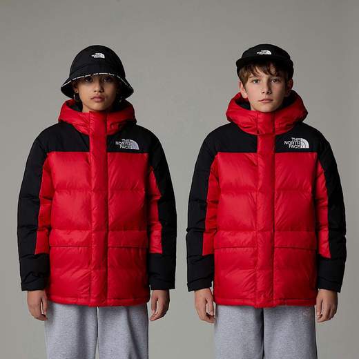 The North Face NF290