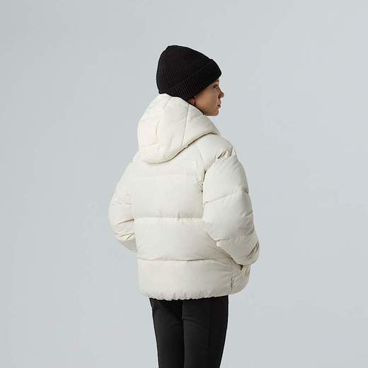 The North Face NF380
