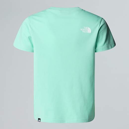 The North Face NF334