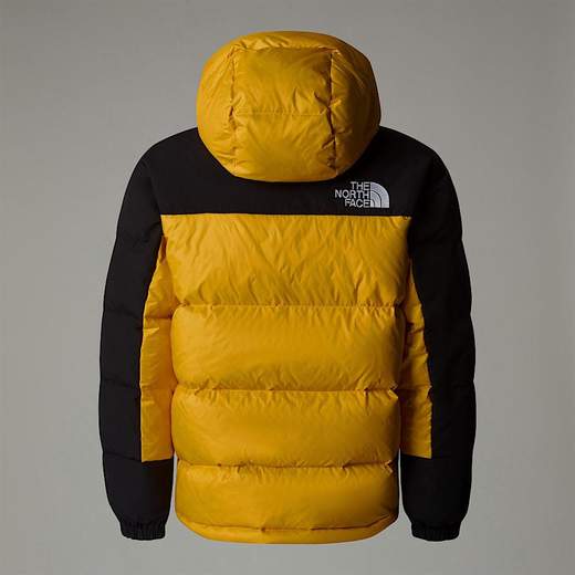The North Face NF290