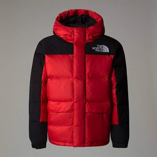 The North Face NF290
