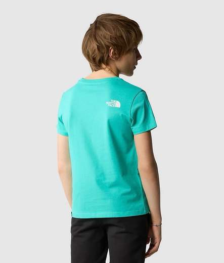 The North Face NF267