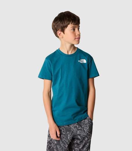 The North Face NF265