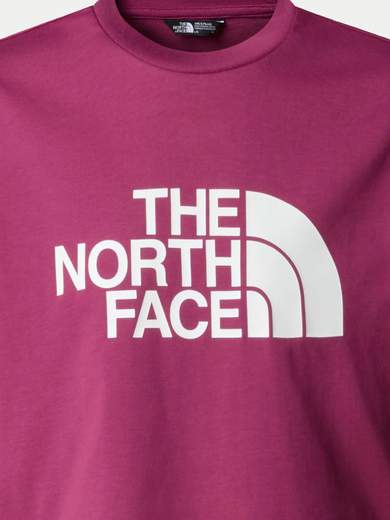 The North Face NF331