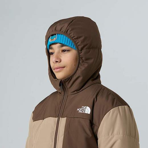 The North Face NF379