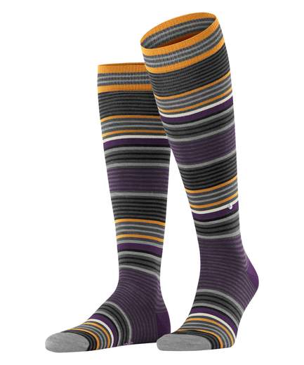 burlington stripe  21757