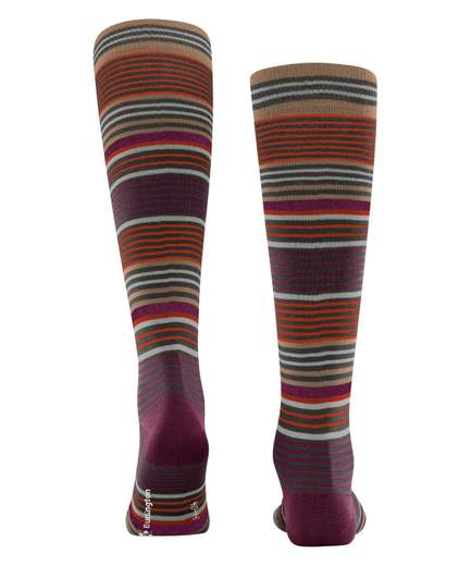 burlington stripe  21757
