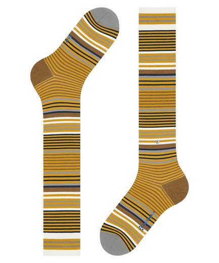 burlington stripe  21757