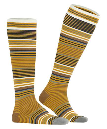 burlington stripe  21757