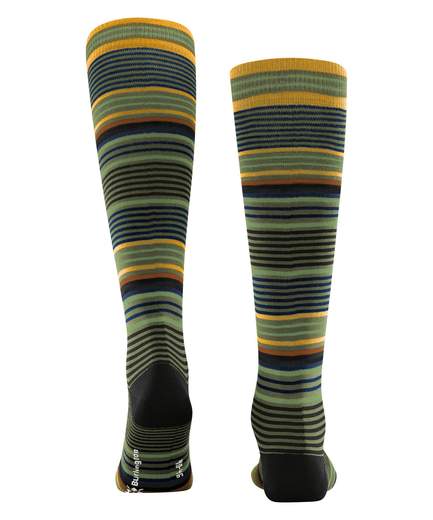 burlington stripe  21757