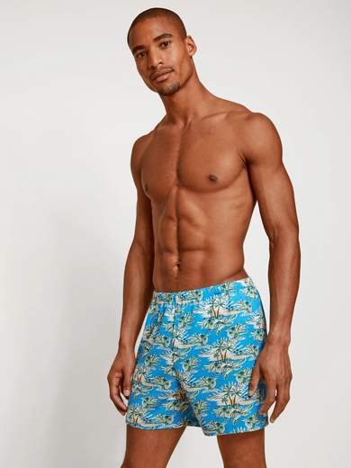calida 24389 prints