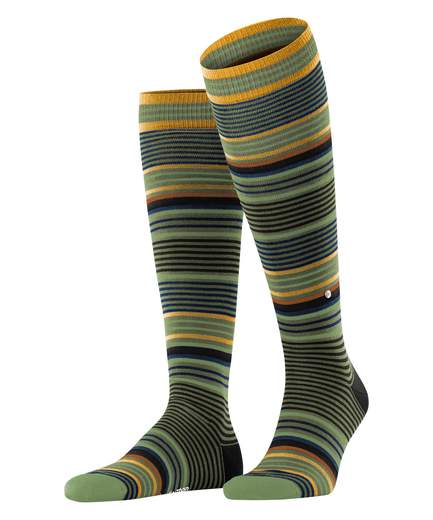 burlington stripe  21757