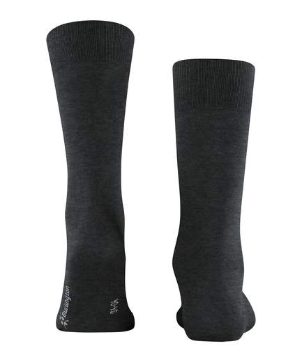 burlington Lord 21081