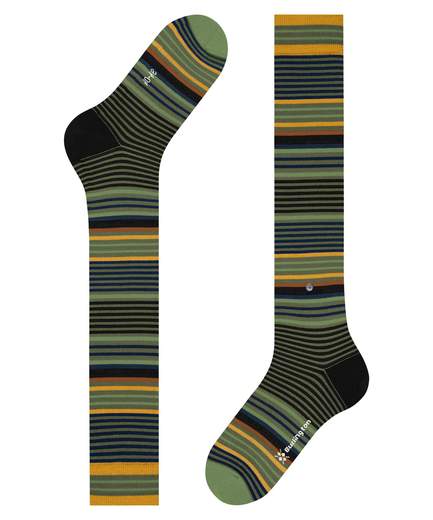 burlington stripe  21757