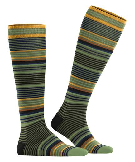 burlington stripe  21757