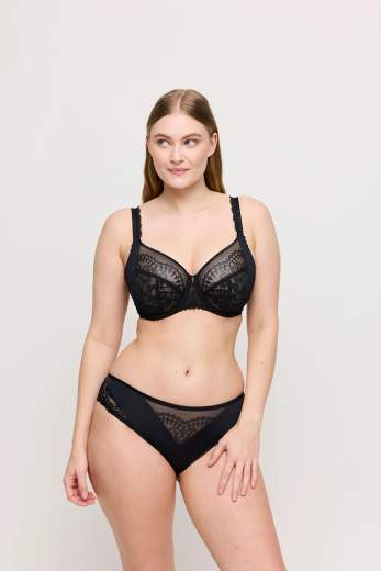 primadonna 0563580 Shimla