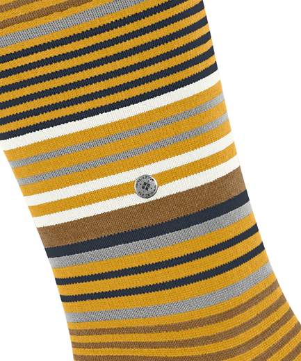 burlington stripe  21757