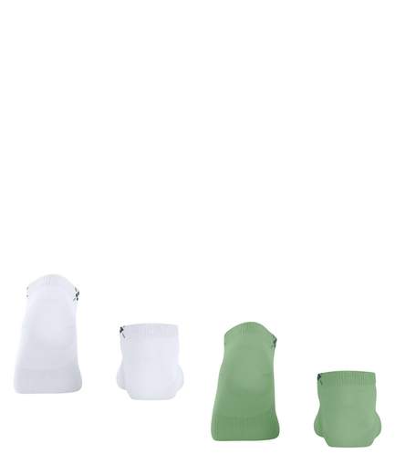 burlington everyday 2 pack 22051