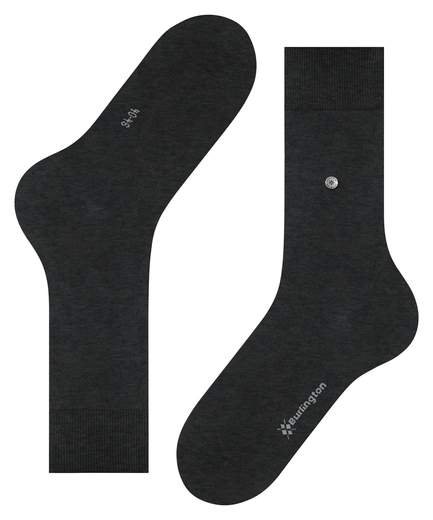 burlington Lord 21081