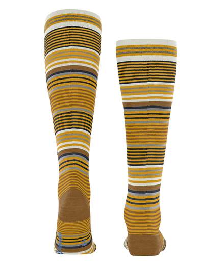 burlington stripe  21757