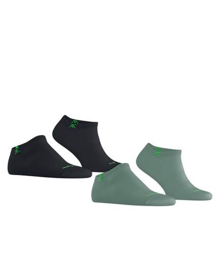 burlington everyday 2 pack 21052