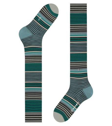 burlington stripe  21757