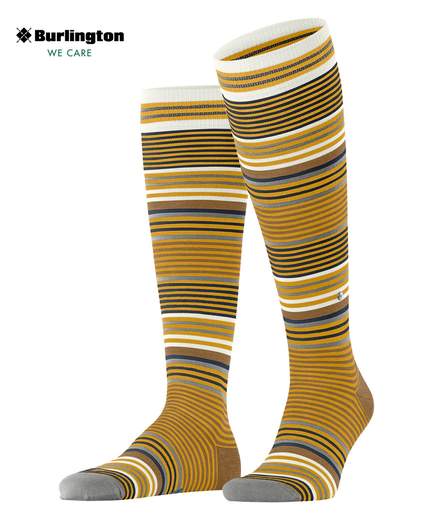 burlington stripe  21757