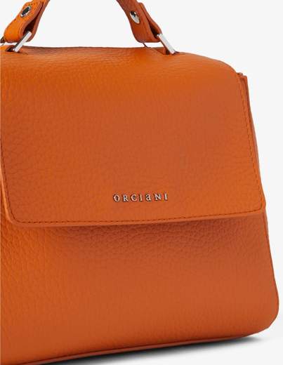 ORCIANI BORSA SVEVA MEDIA