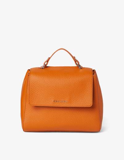 ORCIANI BORSA SVEVA MEDIA