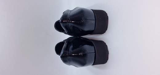 ANASTASIO ACCOLLATO IN CAMOSCIO