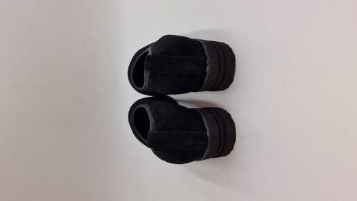 ANASTASIO DECOLLTE IN CAMOSCIO