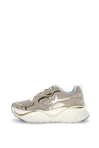 W6YZ 2019468.05