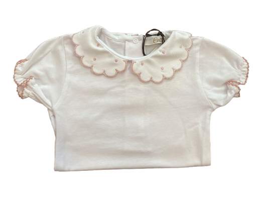 E26-SC101 Pois