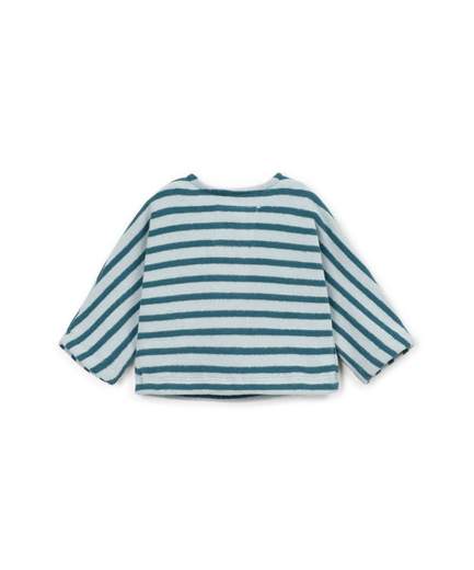 OAT11352