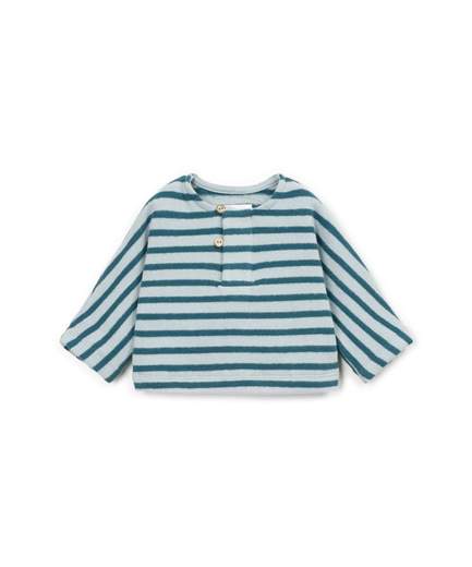 OAT11352