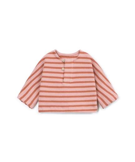 OAT11352