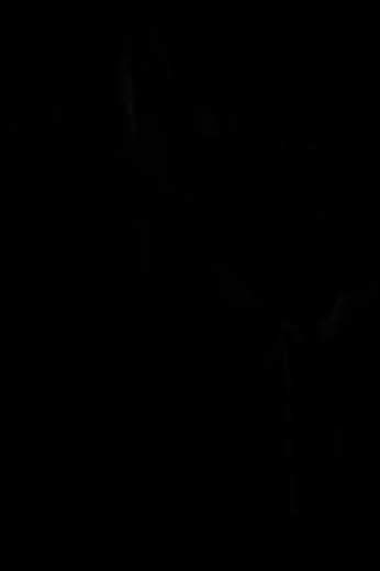 B.YOUNG 20804299 HIALICE