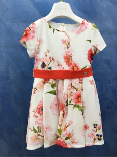 BYBLOS BJ11482
