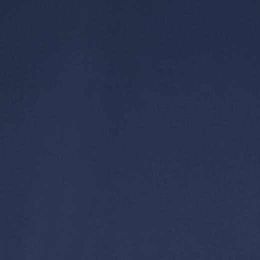 save the duck D32201W